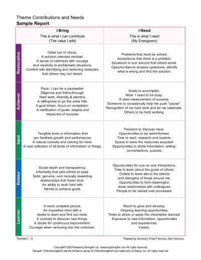 SLE - Introduction to CliftonStrengths | myUSF